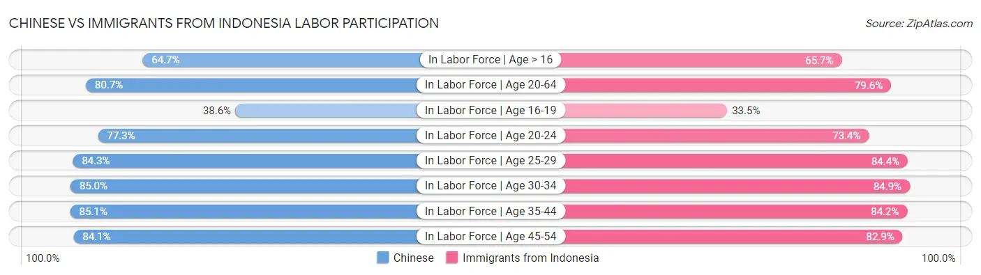 Chinese vs Immigrants from Indonesia Labor Participation