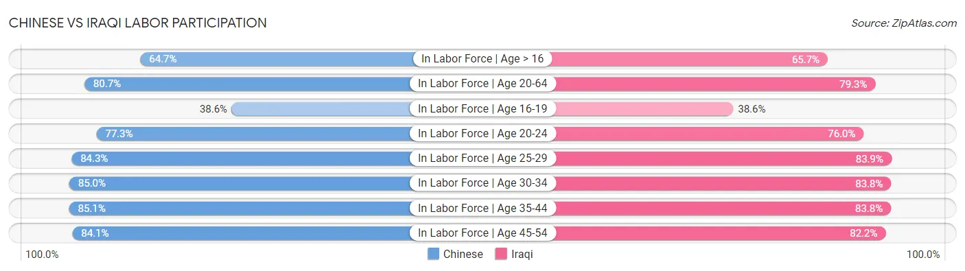 Chinese vs Iraqi Labor Participation