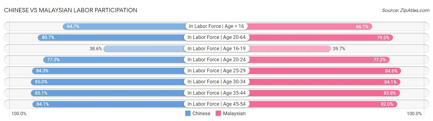 Chinese vs Malaysian Labor Participation