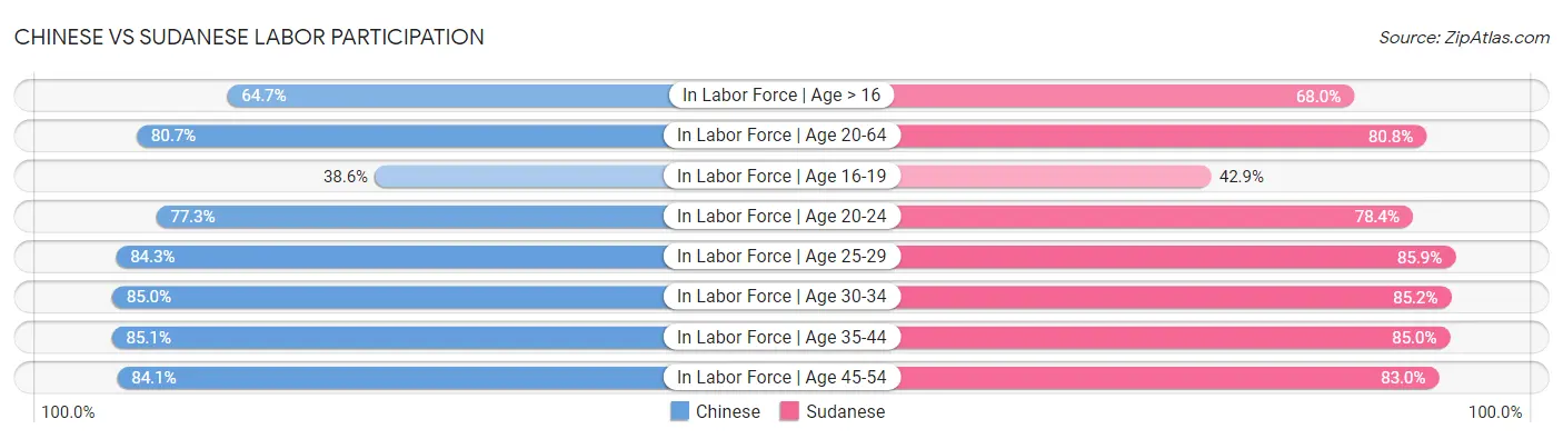 Chinese vs Sudanese Labor Participation