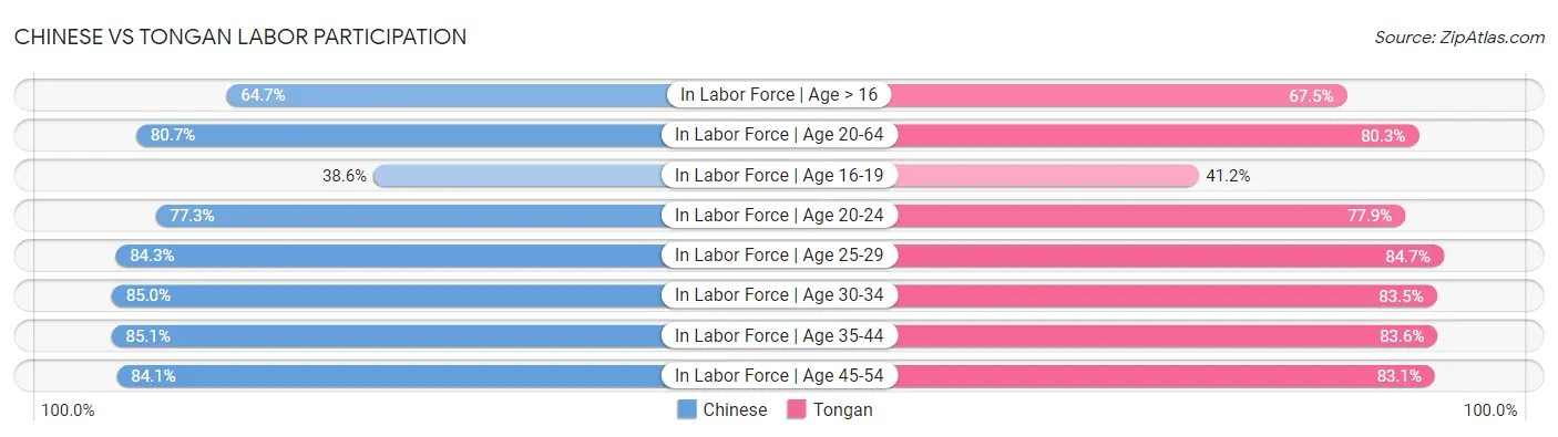 Chinese vs Tongan Labor Participation