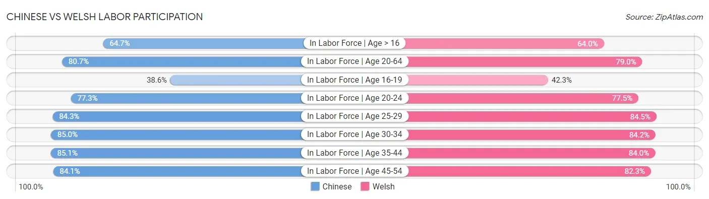 Chinese vs Welsh Labor Participation