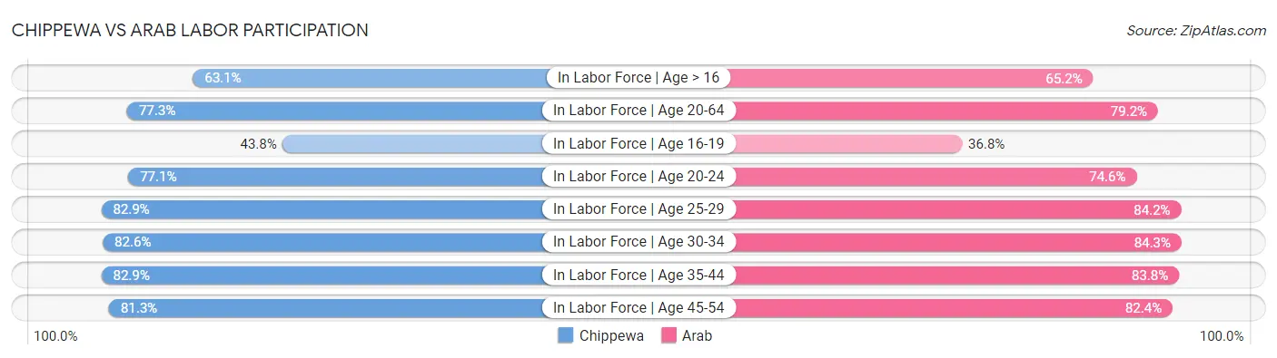 Chippewa vs Arab Labor Participation