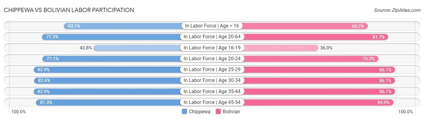 Chippewa vs Bolivian Labor Participation