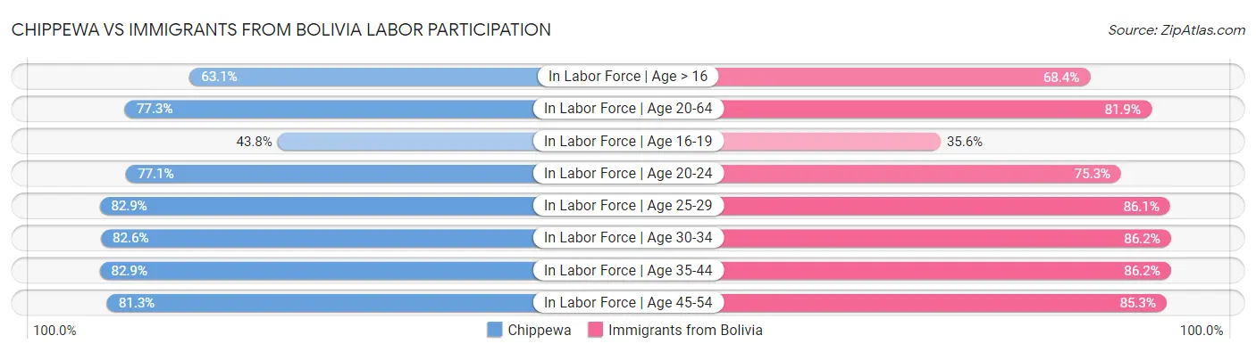 Chippewa vs Immigrants from Bolivia Labor Participation