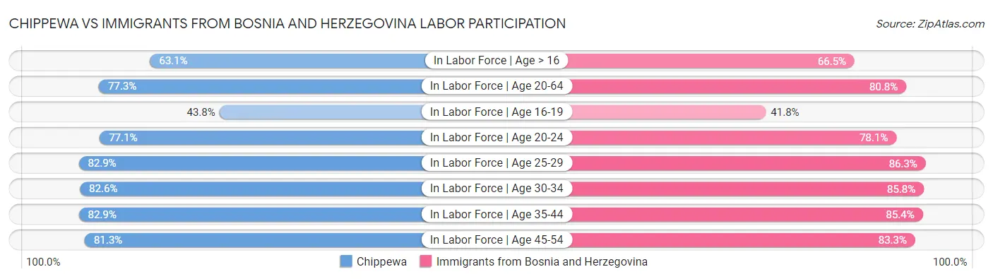 Chippewa vs Immigrants from Bosnia and Herzegovina Labor Participation