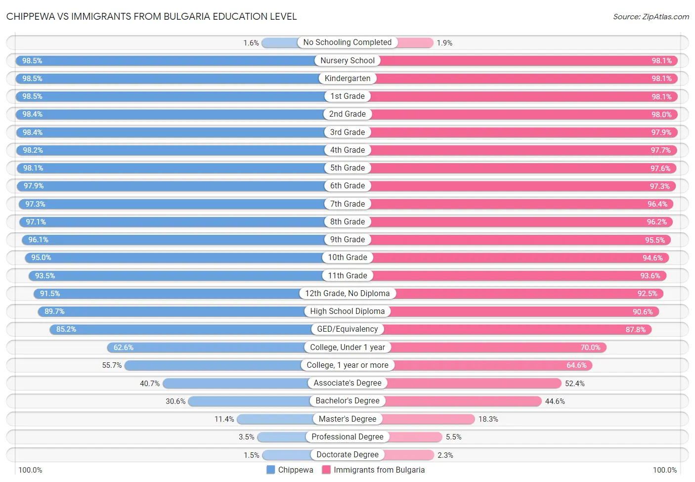 Chippewa vs Immigrants from Bulgaria Education Level