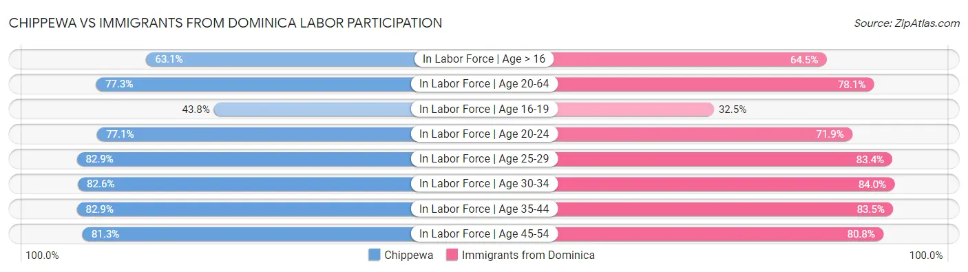 Chippewa vs Immigrants from Dominica Labor Participation
