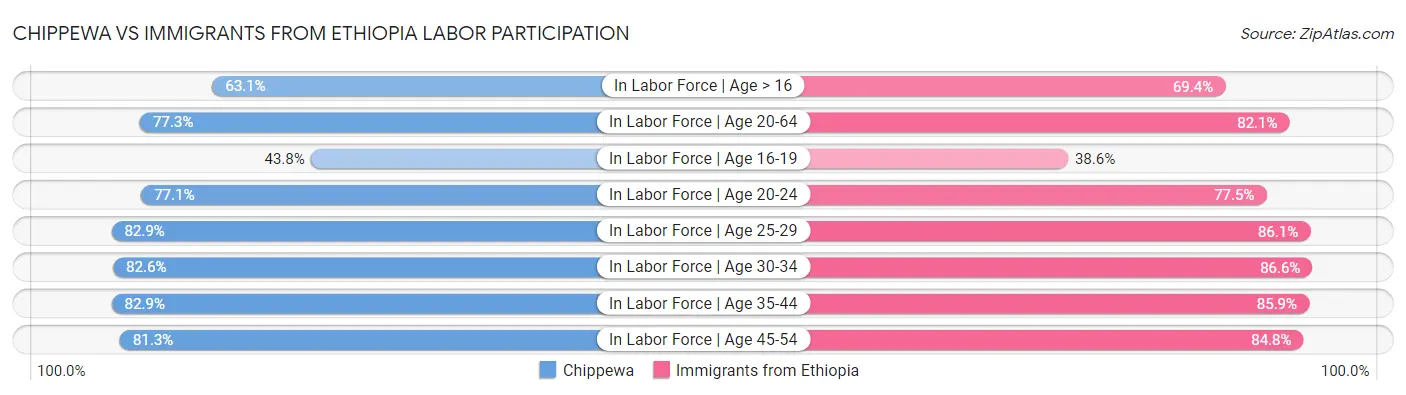Chippewa vs Immigrants from Ethiopia Labor Participation