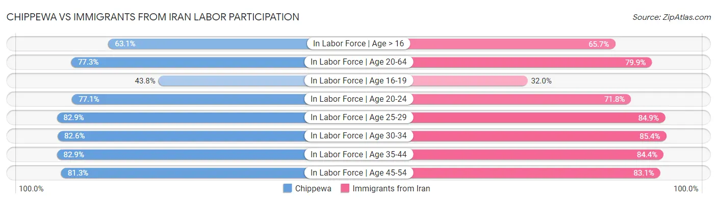 Chippewa vs Immigrants from Iran Labor Participation