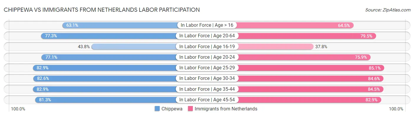 Chippewa vs Immigrants from Netherlands Labor Participation