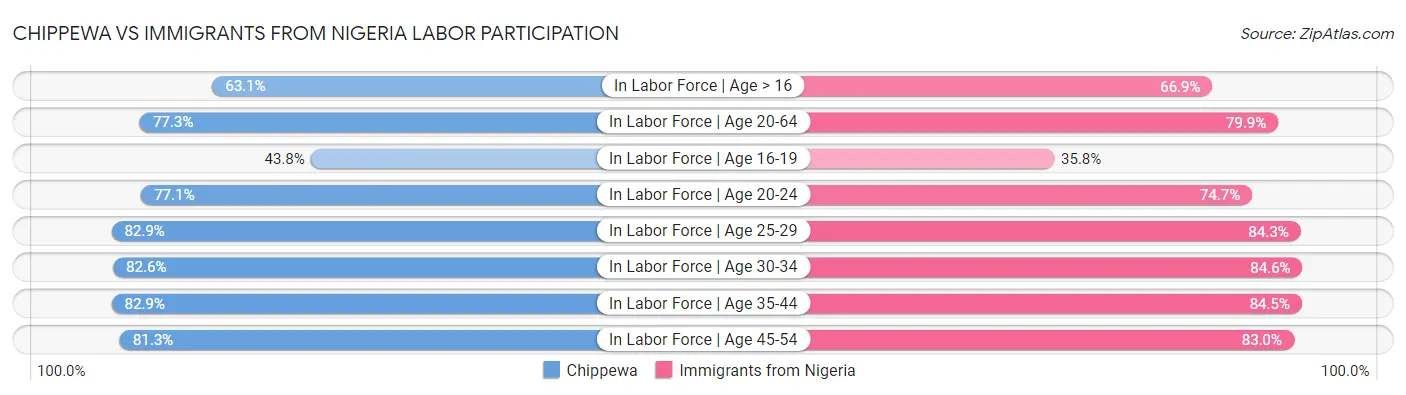 Chippewa vs Immigrants from Nigeria Labor Participation