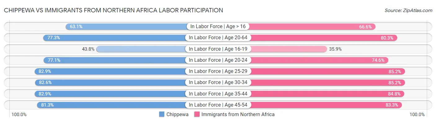 Chippewa vs Immigrants from Northern Africa Labor Participation