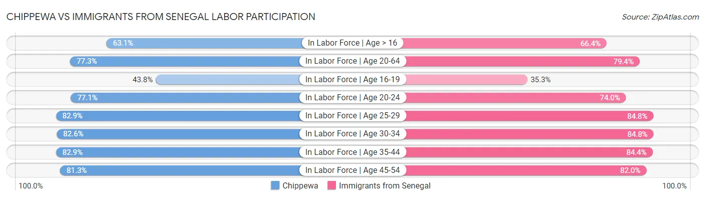 Chippewa vs Immigrants from Senegal Labor Participation