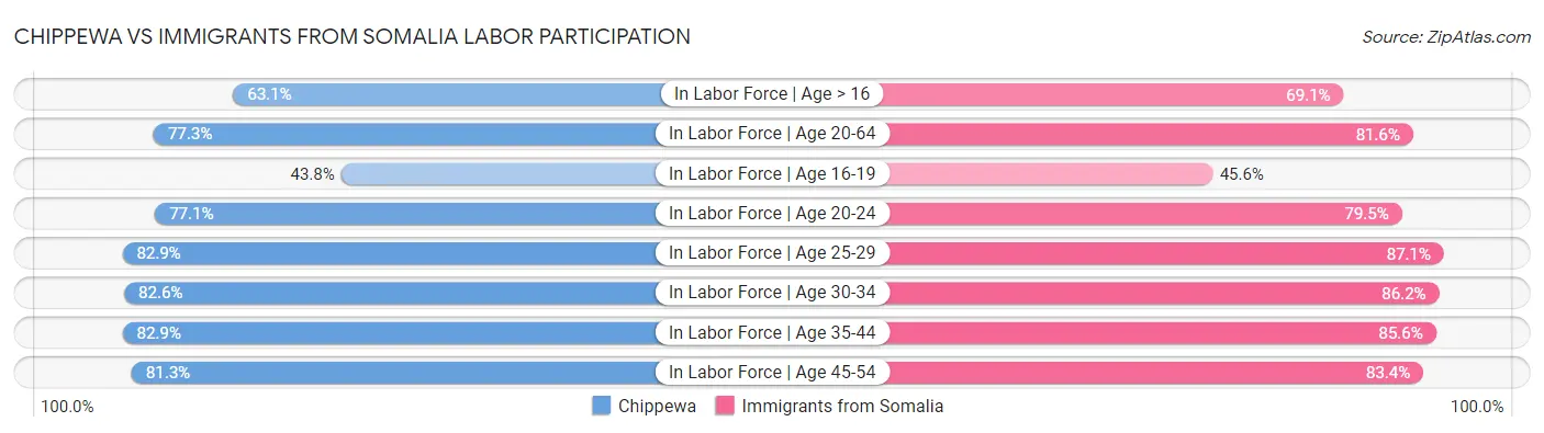 Chippewa vs Immigrants from Somalia Labor Participation