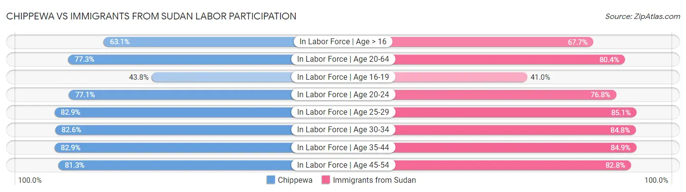 Chippewa vs Immigrants from Sudan Labor Participation