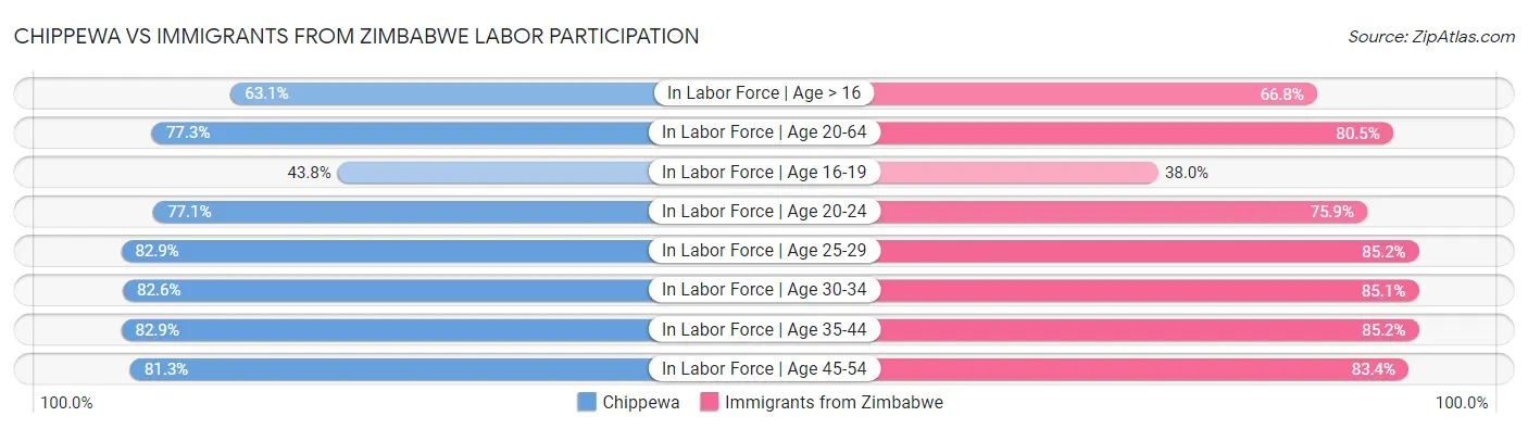 Chippewa vs Immigrants from Zimbabwe Labor Participation