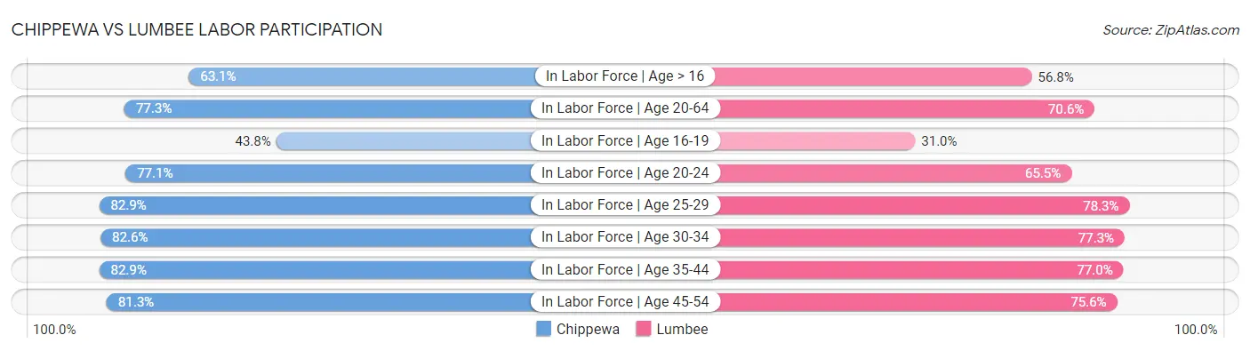 Chippewa vs Lumbee Labor Participation