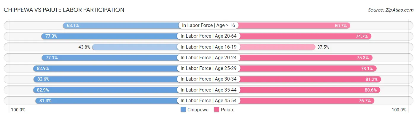 Chippewa vs Paiute Labor Participation