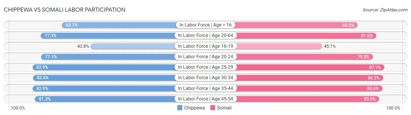 Chippewa vs Somali Labor Participation