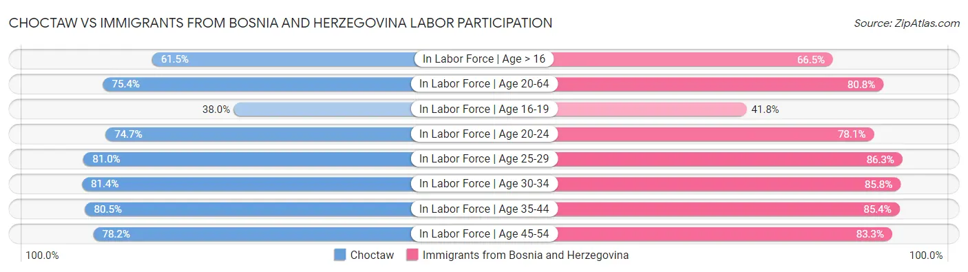 Choctaw vs Immigrants from Bosnia and Herzegovina Labor Participation