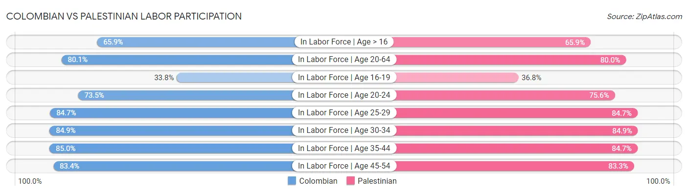 Colombian vs Palestinian Labor Participation