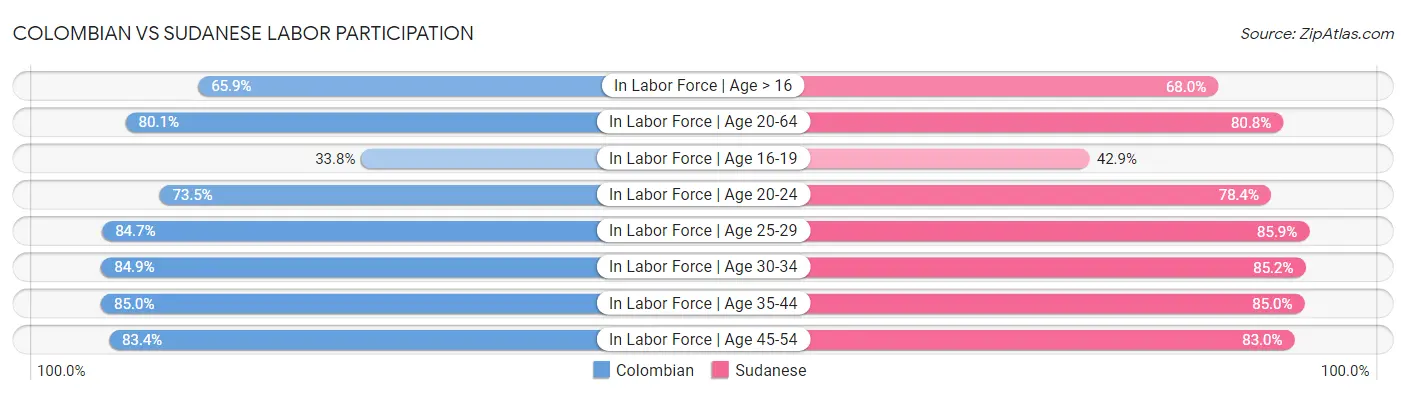 Colombian vs Sudanese Labor Participation
