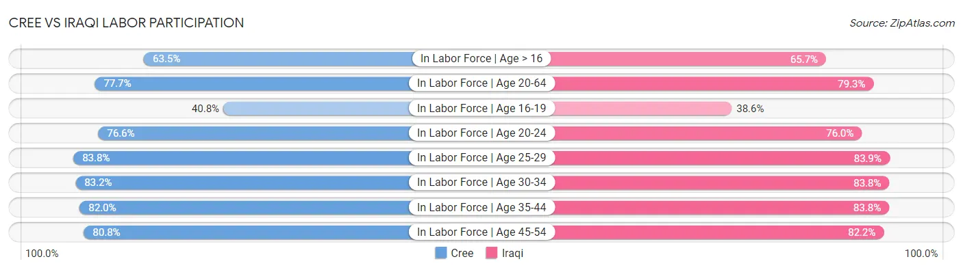Cree vs Iraqi Labor Participation