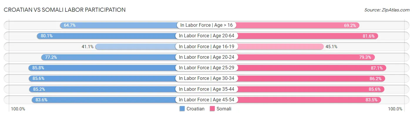 Croatian vs Somali Labor Participation