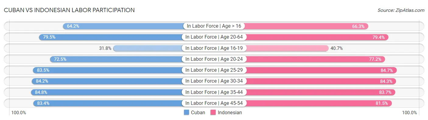 Cuban vs Indonesian Labor Participation