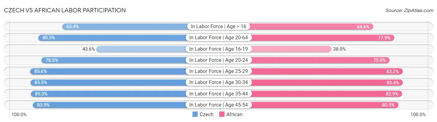 Czech vs African Labor Participation