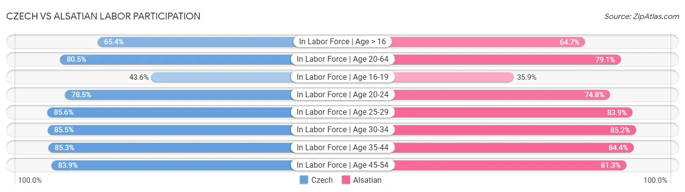 Czech vs Alsatian Labor Participation