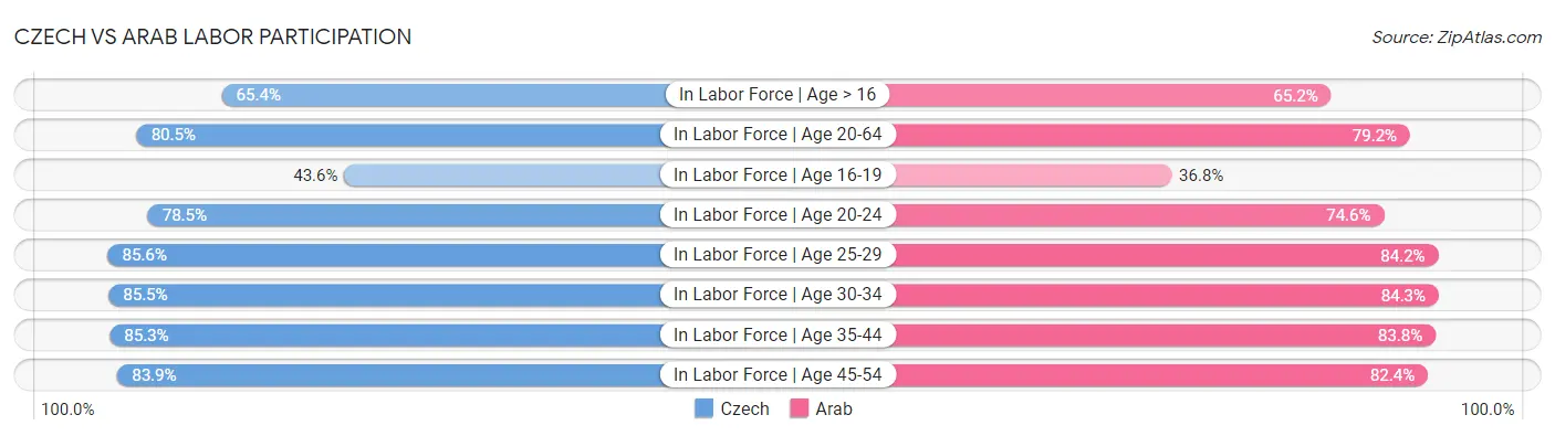 Czech vs Arab Labor Participation