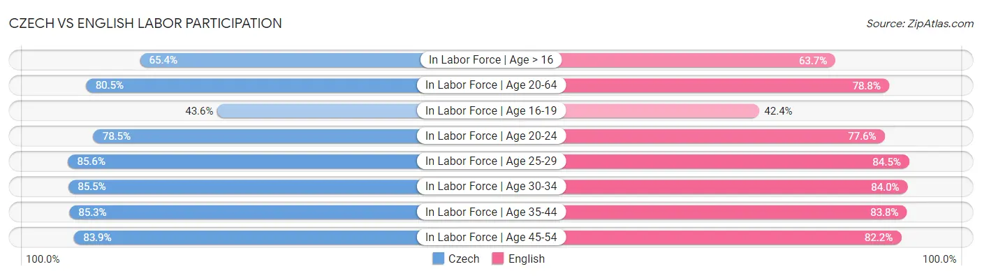 Czech vs English Labor Participation