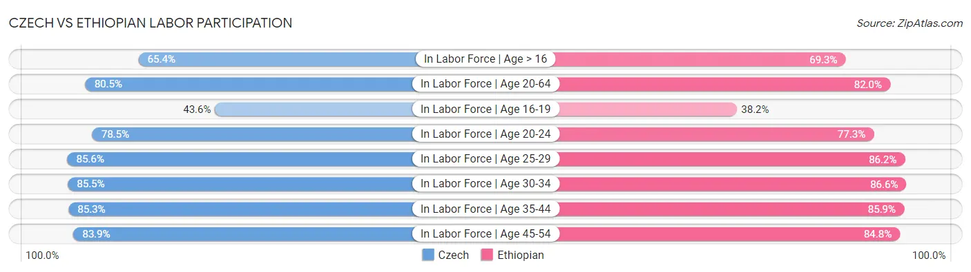 Czech vs Ethiopian Labor Participation