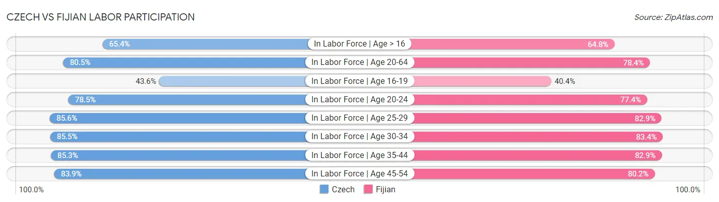 Czech vs Fijian Labor Participation