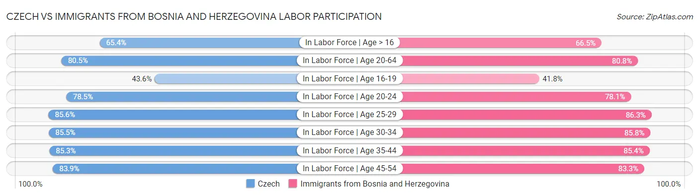 Czech vs Immigrants from Bosnia and Herzegovina Labor Participation