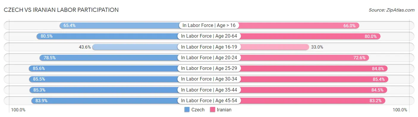 Czech vs Iranian Labor Participation