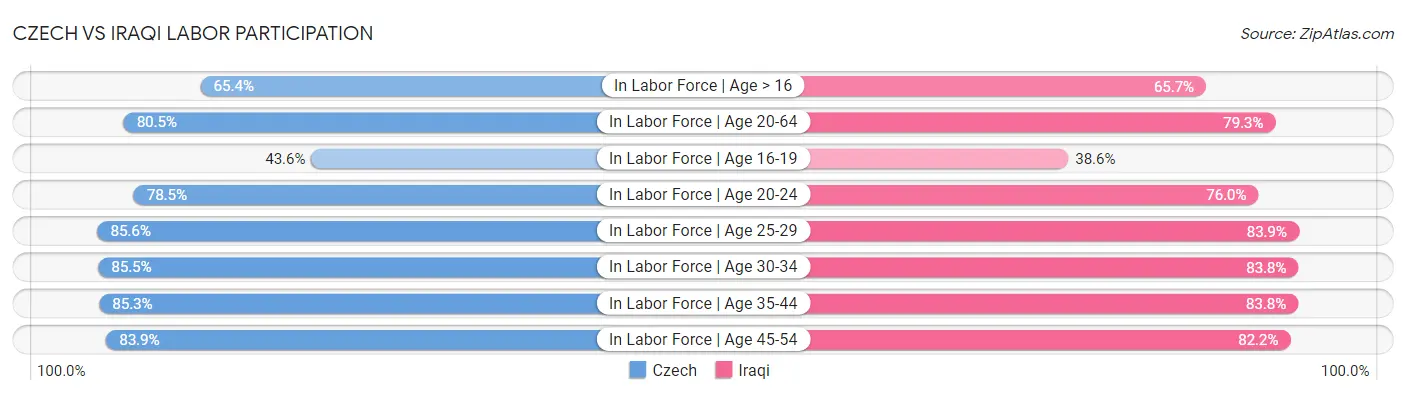 Czech vs Iraqi Labor Participation