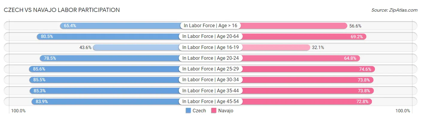 Czech vs Navajo Labor Participation