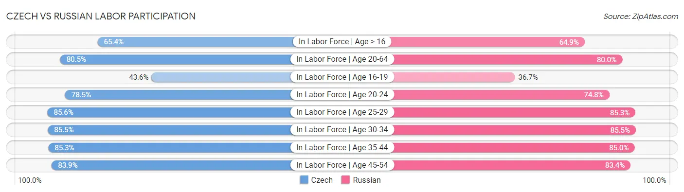 Czech vs Russian Labor Participation