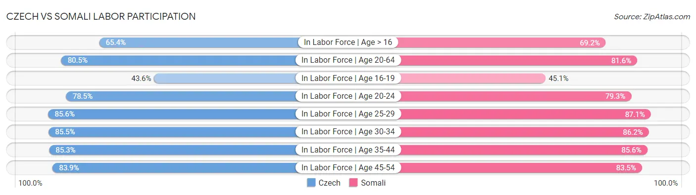 Czech vs Somali Labor Participation