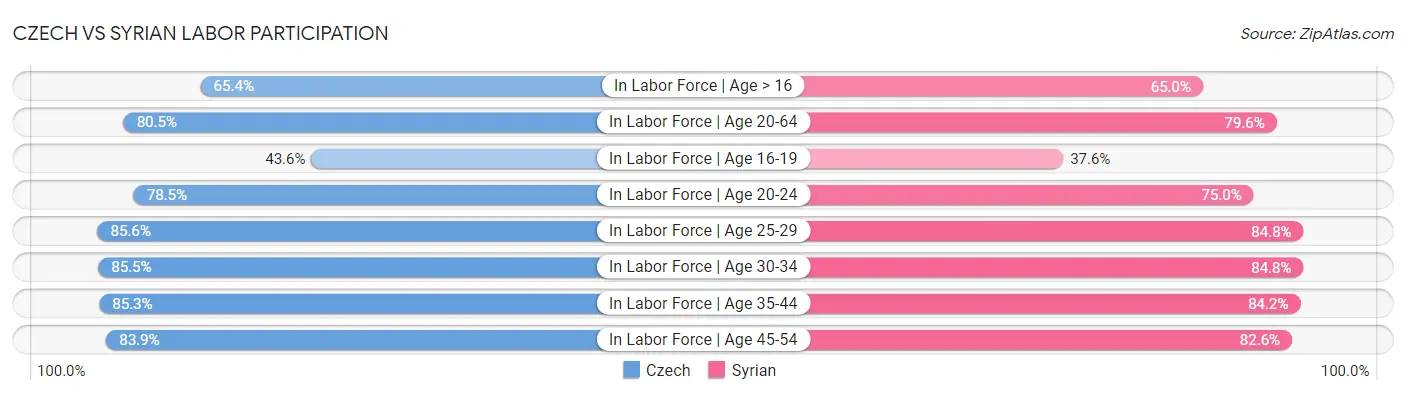 Czech vs Syrian Labor Participation