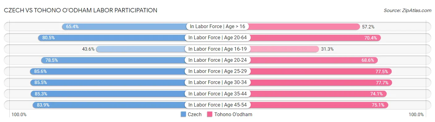 Czech vs Tohono O'odham Labor Participation