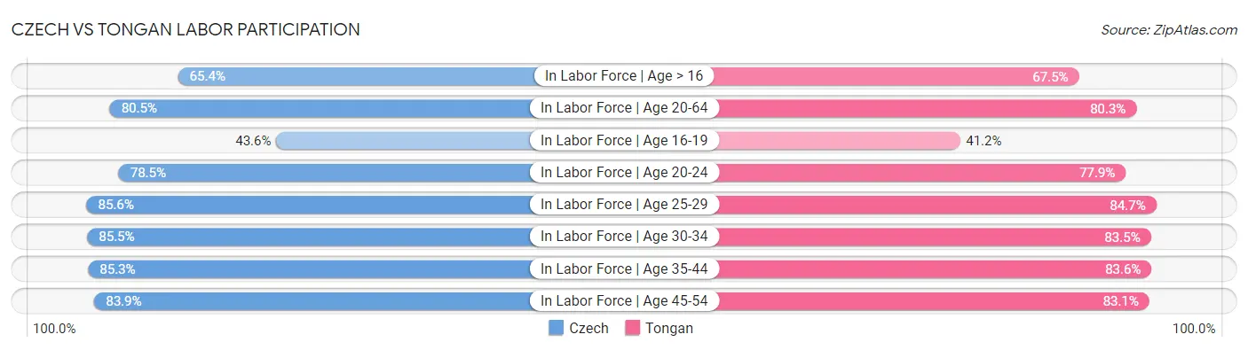Czech vs Tongan Labor Participation