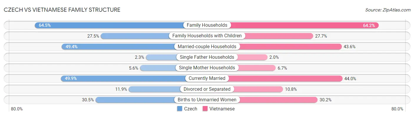 Czech vs Vietnamese Family Structure
