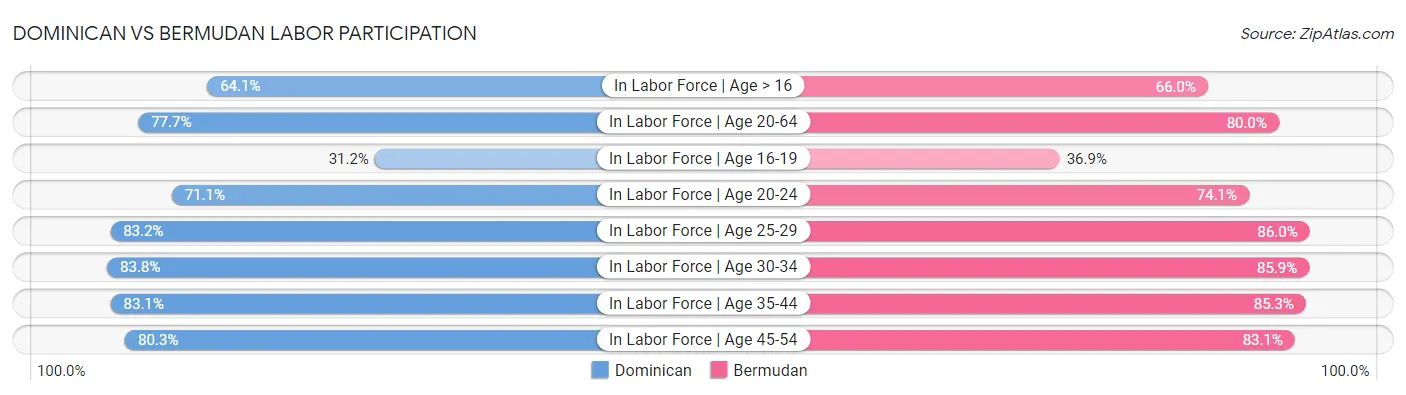 Dominican vs Bermudan Labor Participation