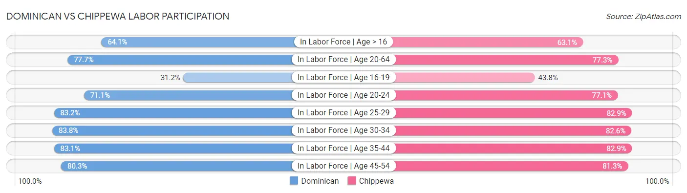 Dominican vs Chippewa Labor Participation