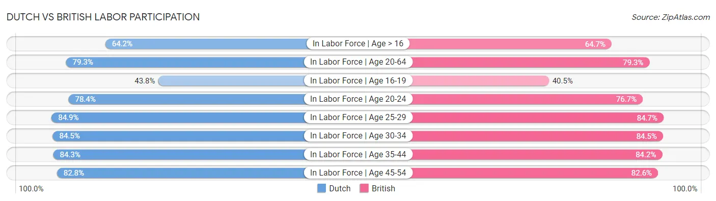 Dutch vs British Labor Participation