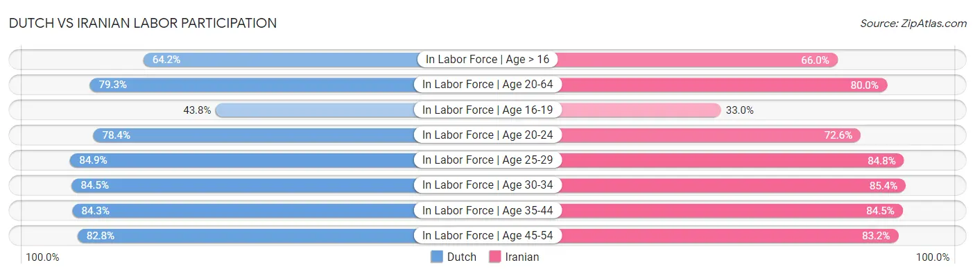 Dutch vs Iranian Labor Participation
